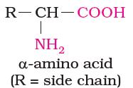 Disaccharides : on hydrolysis with dilute acids or enzymes yield two molecules of either the same or different monosaccharides.