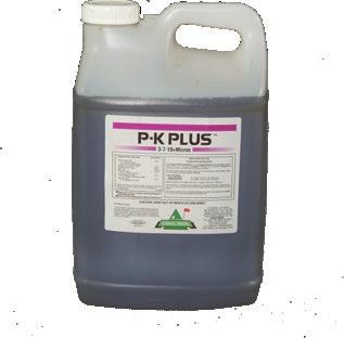P-K PLUS 3-7-18 + 14% phosphite GRIGG P-K Plus provides phosphite, derived from potassium phosphite (K 2 HPO 3 ) for plant health and phosphate for increased energy transfer and root development.