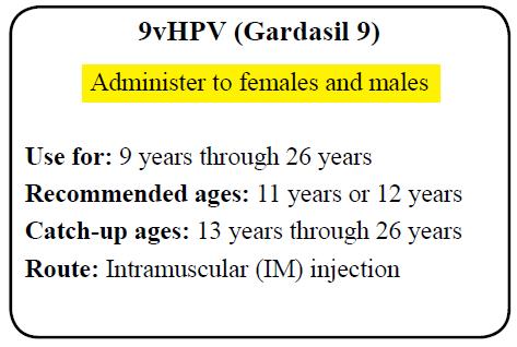 Adverse Events Following Any Dose of HPV Vaccine Among Females* Adverse Event 2vHPV 4vHPV 9vHPV Pain 92% 84% 89% Swelling 44% 29% 40% Erythema 48% 25% 34% Fever 13% 13% 5% Nausea 7% GI 28% ** 4%
