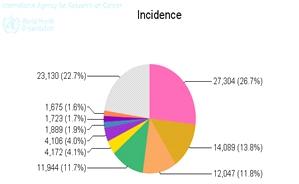 Fig 1: Cancer incidence in Nigeria (GLOBOCAN