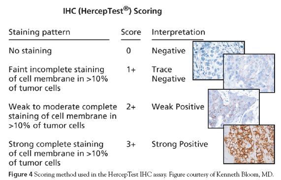 IHC Testing for HER2
