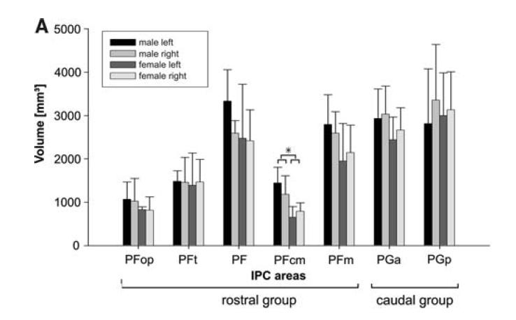 Anatomic left-right and gender differences in Broca s region and IPC-PFcm Grey level index -