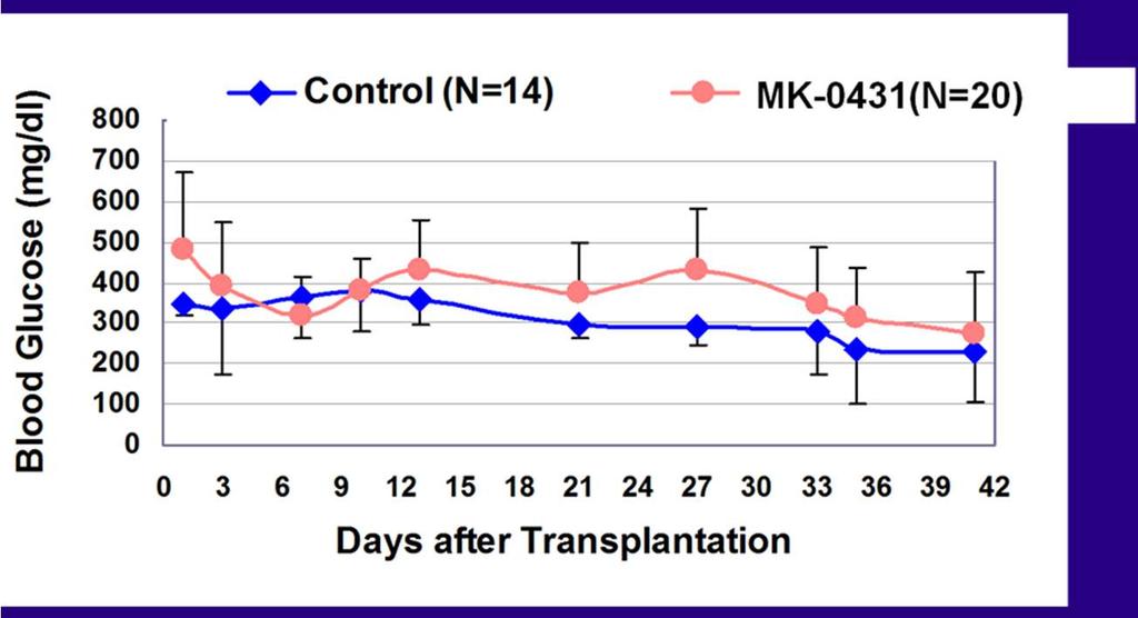 Effects of Dipeptidyl Peptidase-4 Inhibition on Syngeneic Mouse Islet Transplantation