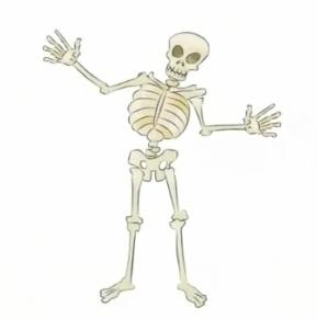 Dem Bones the Skeleton Dance