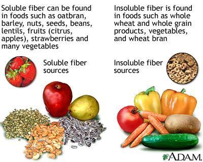 Fiber An indigestible carbohydrate found in the tough, stringy parts of