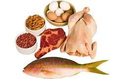 Proteins Help build and maintain body cells and tissues. Proteins also provide the body with energy.
