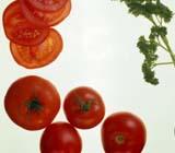 Tomato Eastern Nutrition by LinkedYin Acupuncture Center Nature: slightly cold and sour Other: vitamins A, B1, B2, and C, carotene, calcium, phosphorus and iron Effects: