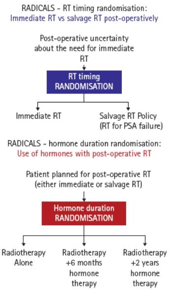 RADICALS (Radiotherapy and Androgen