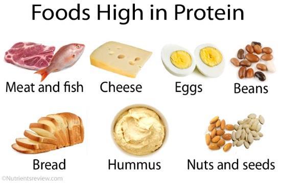 beans, tofu, ENZYMES, antibodies How to Test for Protein Used to test