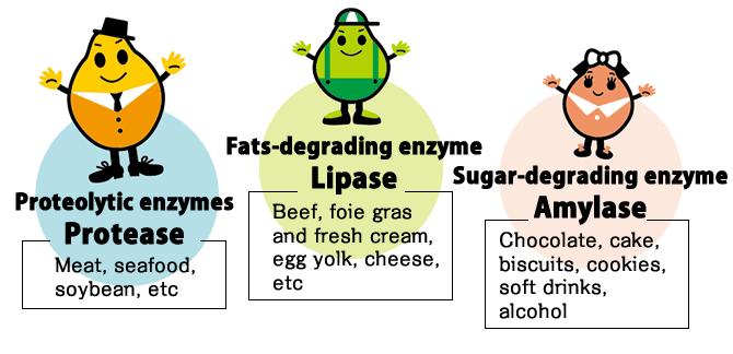 changes can cause of the enzyme.