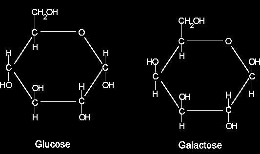 Common Monosaccharides Glucose: Mild sweet flavor Known as blood sugar