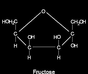 Galactose: Hardly tastes sweet & rarely found naturally as a single sugar