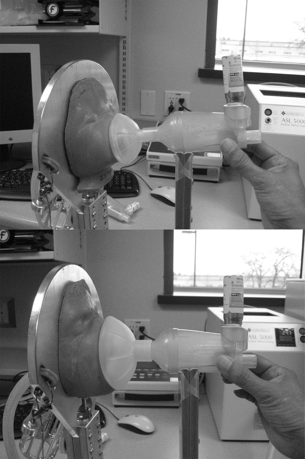 A NOVEL, VERSATILE VALVED HOLDING CHAMBER Fig. 4. Simulated spontaneous breathing with the (A) infant and (B) small child face models, with the small face mask and medium face mask, respectively.