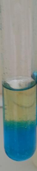 olive oil: notice that petroleum ether upper lay containing the dissolved oil and appears colorless, aqueous solution remains blue in the bottom.