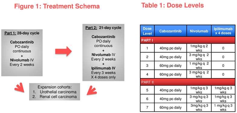 A phase I study of cabozantinib plus nivolumab (CaboNivo) and ipilimumab (CaboNivoIpi) in patients (pts) with refractory metastatic urothelial carcinoma (muc)