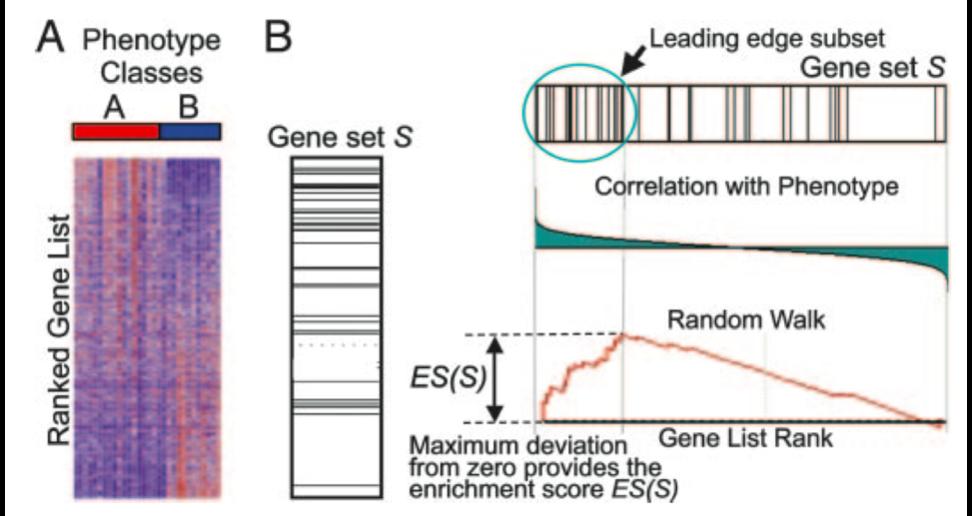 FCS: Gene Set Enrichment Analysis (GSEA) Subramanian, A. et al.. PNAS 102, 15545 15550 (2005). fasta.bioch.virginia.
