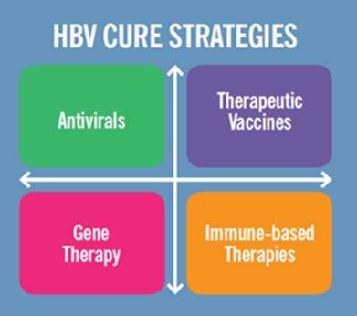 HBV cure scientific strategy development Producing a joint position paper a strategic plan for what will be needed to achieve HBV cure, similar to papers published in the HIV field (Deeks et. al.