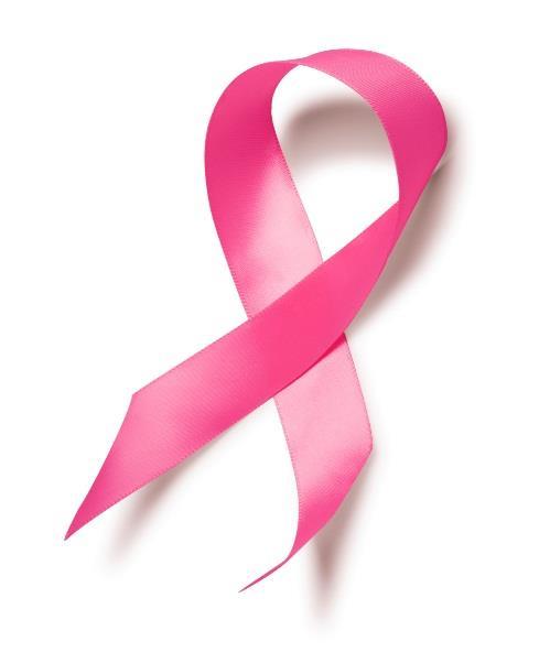 Breast Cancer Screening and High Risk Mary
