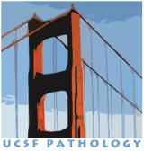 USCAP 2014 Common problems in bone and soft tissue pathology: Cartilage
