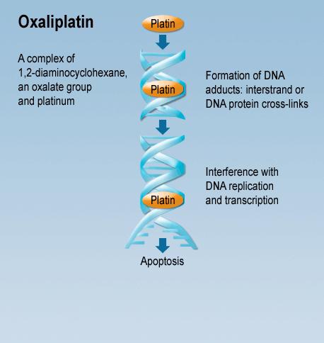 Oxaliplatin Mode of action Oxaliplatin causes inter- and intra-strand cross-links in DNA, inhibiting DNA synthesis and cell