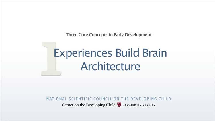 Experiences Build Brain Architecture.