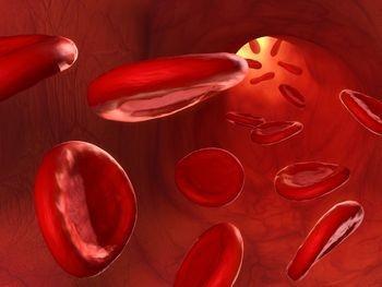 Buffers Hemoglobin-oxyhemoglobin