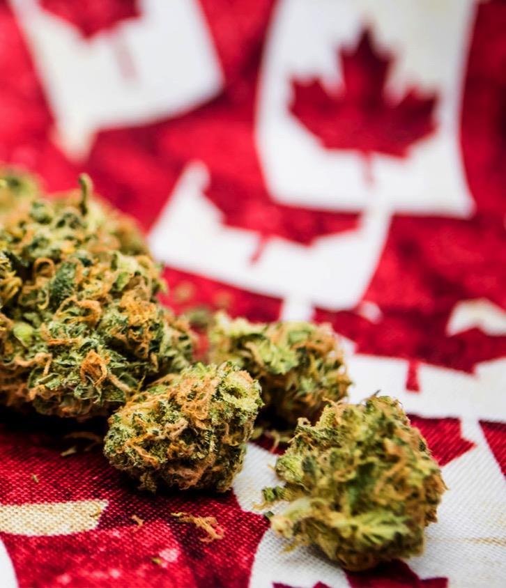 CANADIAN CANNABIS CRAZE (AND CONUNDRUM) Dr.