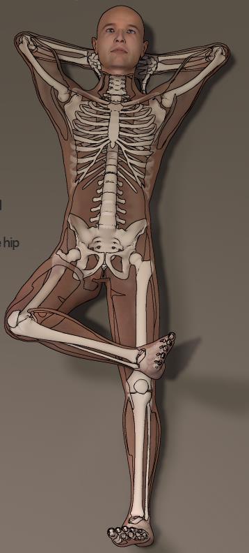 FABRE/Patrick Need to stabilize the contralateral hip and place