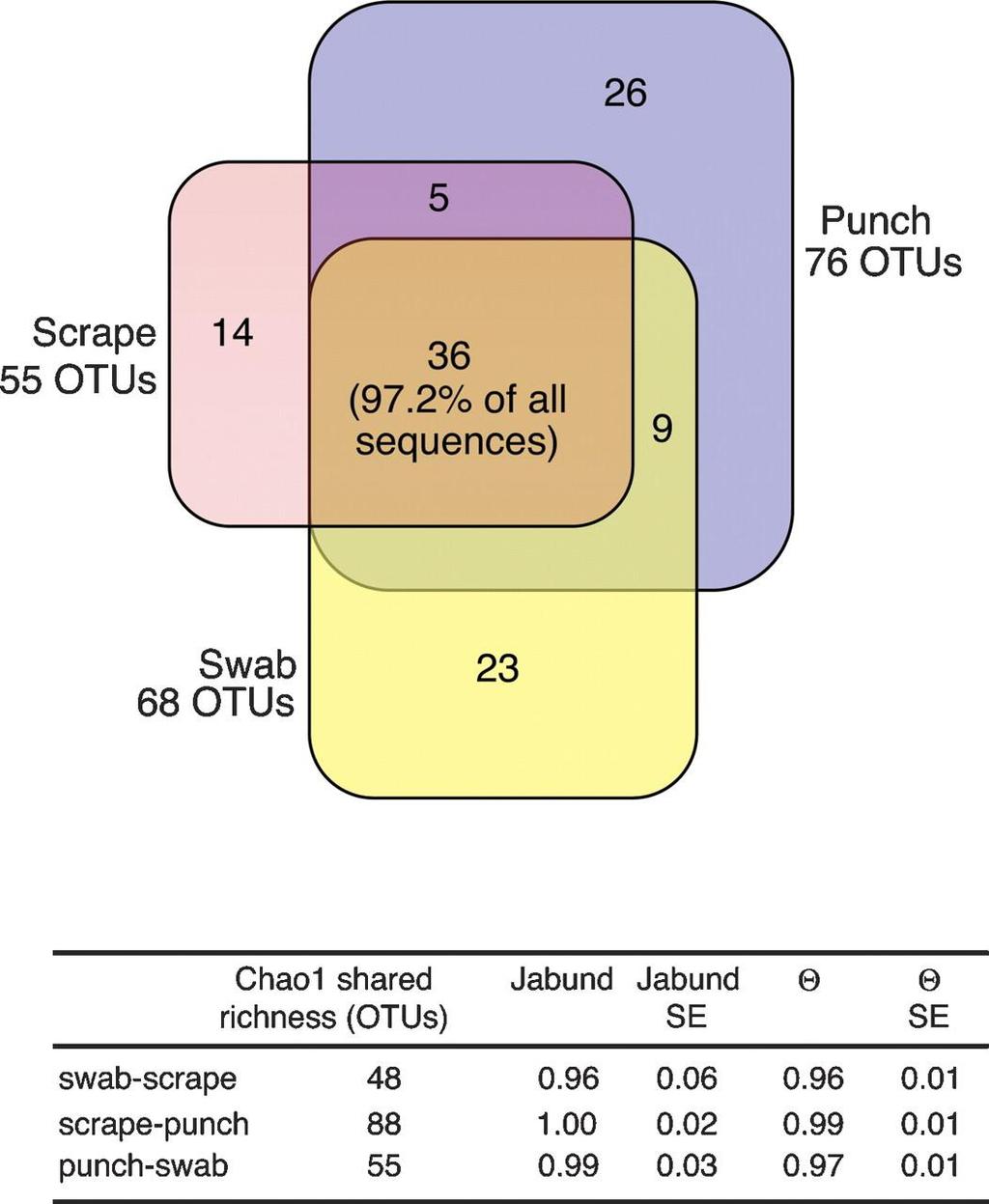 A Venn diagram that illustrates observed overlap of OTUs with 97% similarity according to sampling