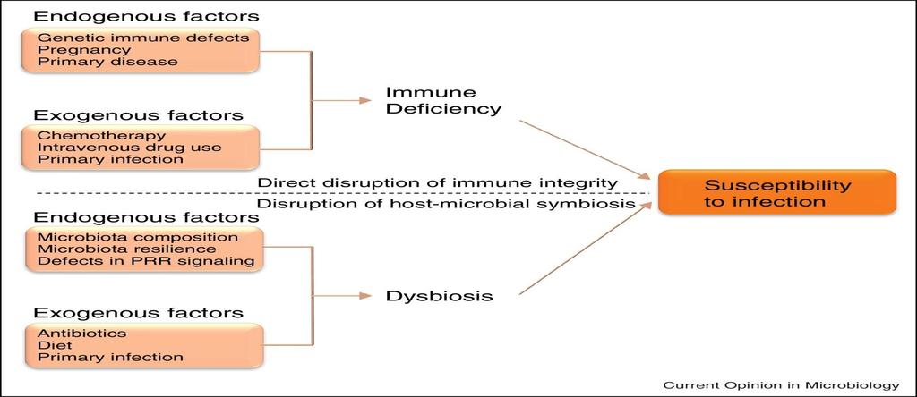 Figure 3. Disruption of host microbial symbiosis as a risk factor for infectious disease. Exposure to pathogenic microorganisms is often insufficient to cause disease.