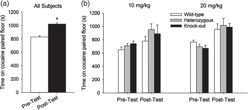 King et al. Figure 2: Time spent on cocaine-paired floor during Cdh13 conditioned place preference.