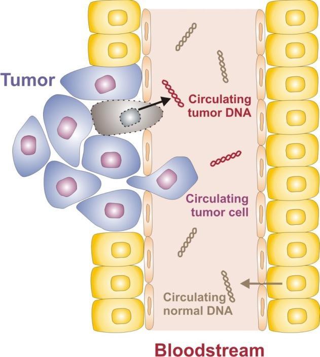 tumor DNA