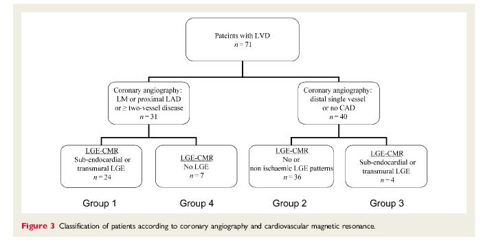 DELINEATION OF THE ETIOLOGY OF LV DYSFUNCTION *