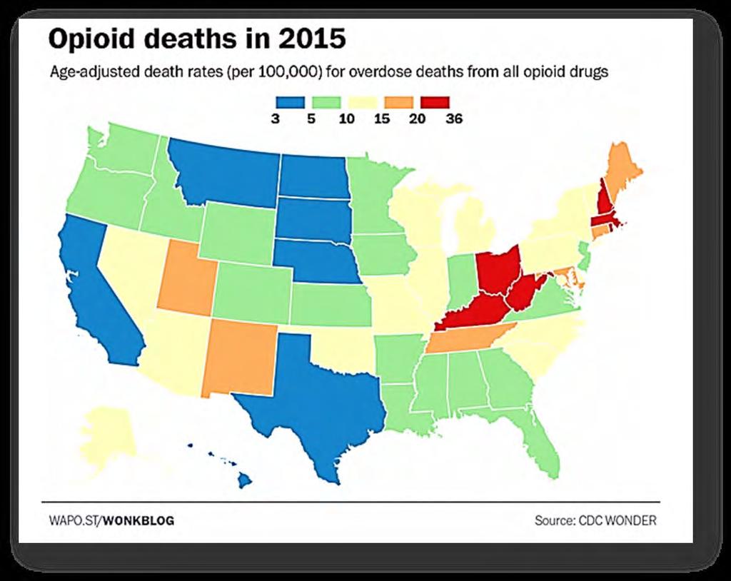OPIOID DEATHS BY