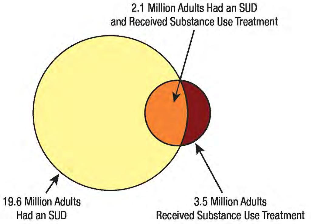 19.6 MILLION ADULTS WITH AN SUD DID