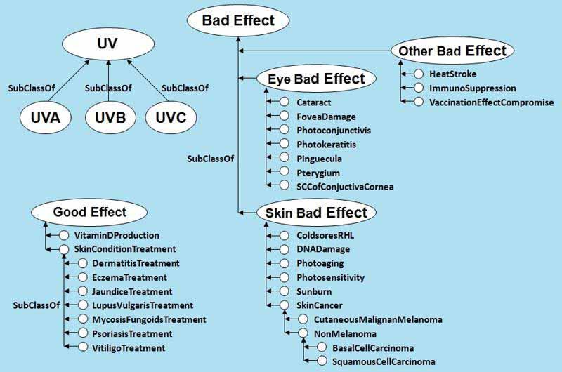 36 OWL Ontology for Solar UV Exposure and Human Health influencing factors requires a person to take some measures so as to reduce the risk posed by UV rays. We call such measures protective measures.