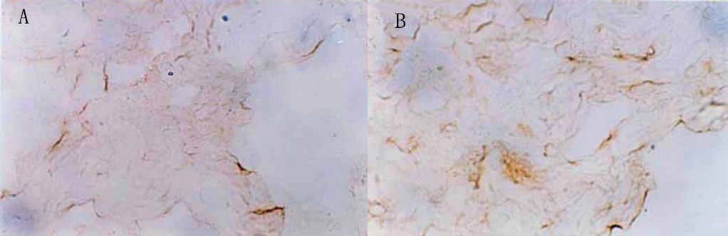 D.P. Yu et al. 10486 = 0.000 (Figure 1B) showed that the quantity of nnos staining-positive nerve fibers were not significantly different between the control groups. Figure 1.