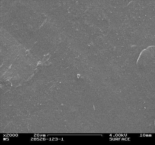 Figure 8. SEM surface images. Left: CA coating film; right: CAB coating film.