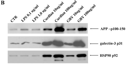 Macrophage secretome Fingerprint for β-glucan exposure Exposure β-glucan (Curdlan)