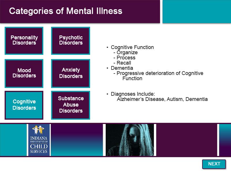 Slide 13 - Categories of Mental Illness - 6 Cognitive Function refers to the general ability to organize, process, and recall information.