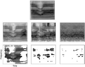 STEP model Auditory excitation pattern (Moore, 23) Spectrogram-like representation Reflects non-uniform frequency selectivity in different frequency bands Incorporates a sliding time window