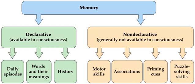 The Major Qualitative Categories of Human Memory (Fig. 31.1) Memory: the encoding, storage and retrieval of learned information.