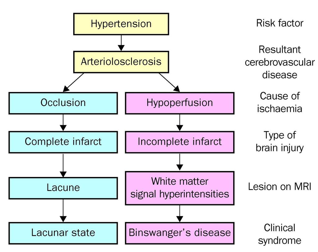 Figure 1 The Lancet Neurology 2002 1, 426-436DOI: (10.