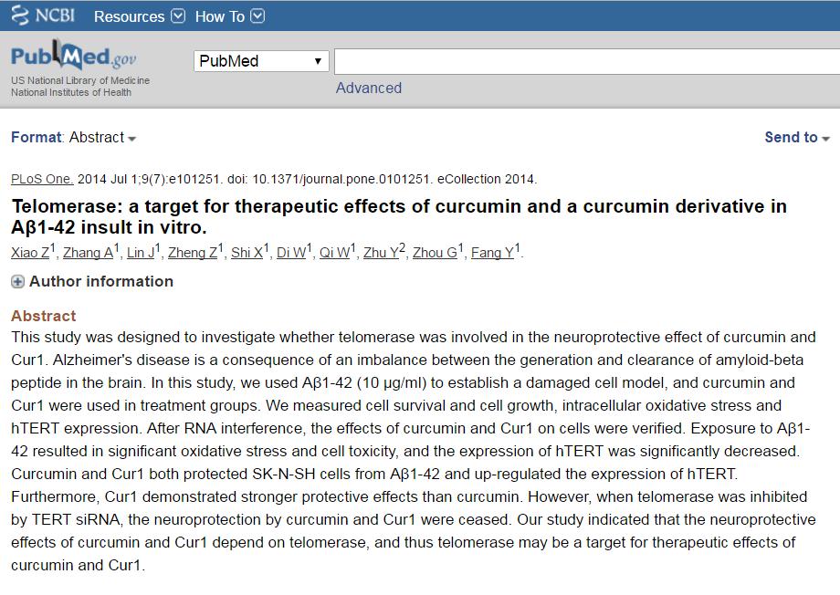 CURCUMIN Results: The primary focus of this study is the impact curcumin has on htert, the catalytic subunit of the telomerase enzyme.