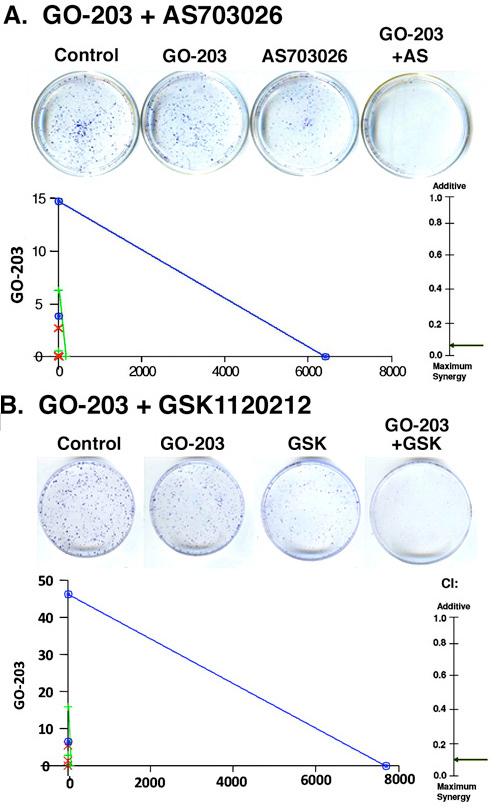 Figure 4. Targeting MUC1-C is synergistic with MEK inhibitors in suppressing colorectal cancer cell survival. A. SK-CO-1 cells were treated with 0.6 µm GO-203, 1.