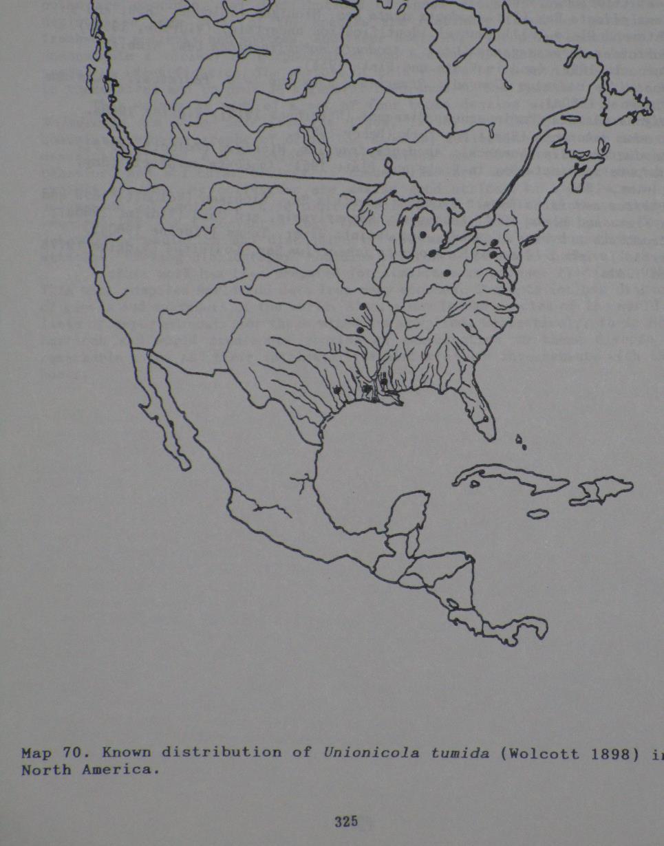 Pyganodon fragilis (Lamarck): Anodonta fragilis, Michigan (Wolcott, 1899), Anodonta marginata Say in Viets and Plate 1954; Anodonta cataracta (Say) Vidrine, 1980a.