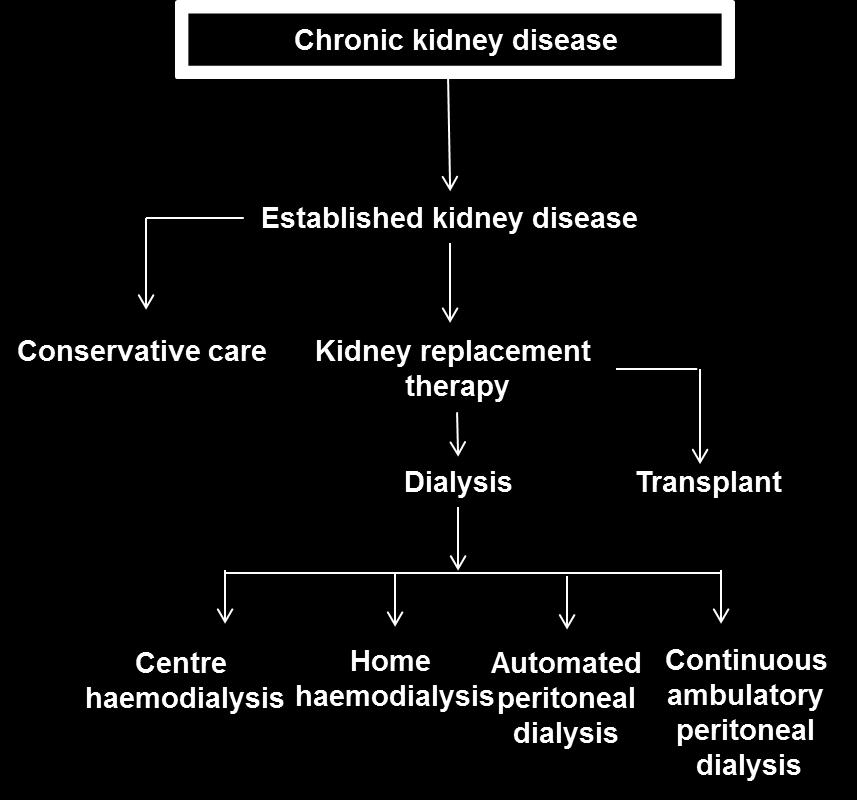 Decision Map. Making explicit the options. Making explicit the decisions. Linking with changes in kidney disease.