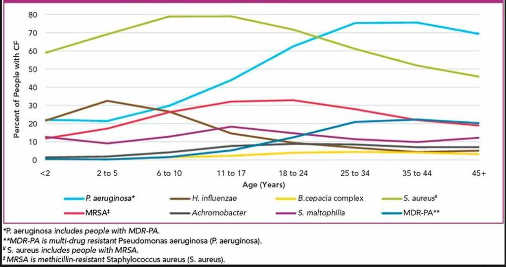 Incidence of Major Airway Pathogens by