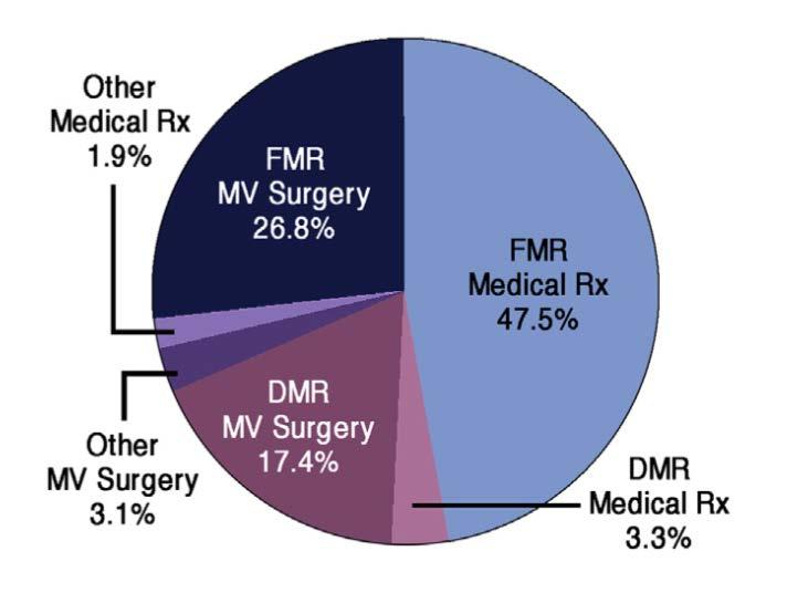 Patients with severe MR and HF at