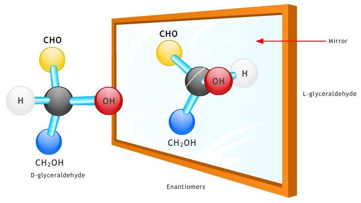 Monosaccharides All monosaccharide sugars are optically active due to the presence of asymmetric carbon atoms.